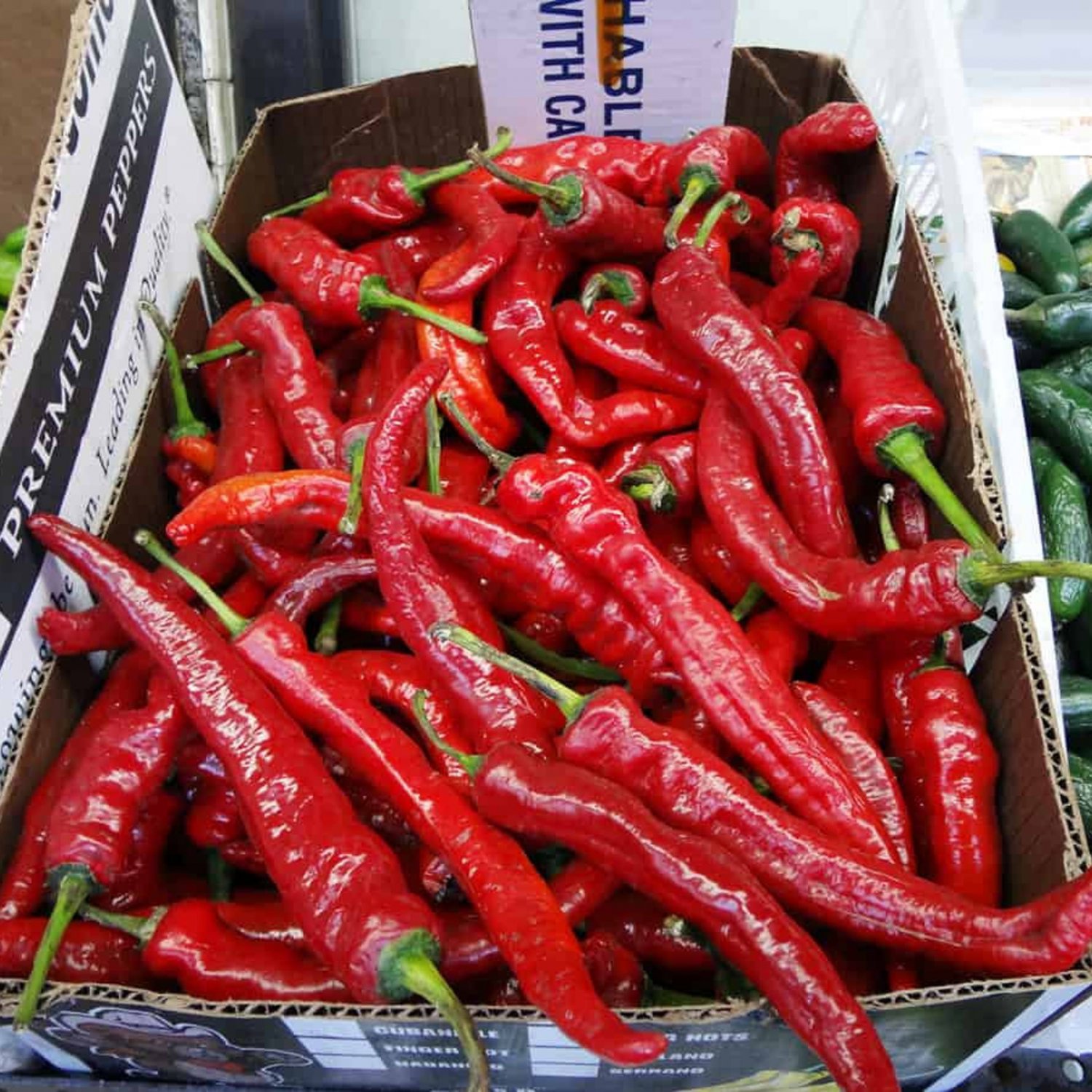 Korean Hot Pepper