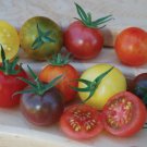 Rainbow Cherry Mix Tomato Seeds Grown To Organic Standards Red Pink Green White Yellow Black