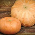 Jaunne Gros De Paris Pumpkin Aka Yellow Of Paris Seeds Naturally Grown C .Pepo
