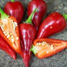 Kalugerista Hot Pepper Seeds Vegetable Seeds Seed Packets Macedonian