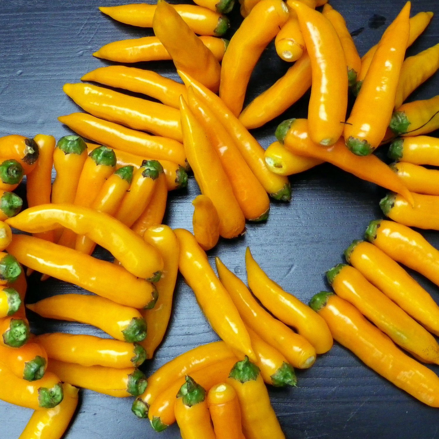 Aji Chinchi Amarillo Hot Pepper Seeds Vegetable Seeds Short Season
