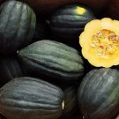 Table Queen Bush Acorn Winter Squash Seeds Vegetable Seeds Seed Packets