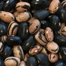 Peregion Dry Bush Oregon Seeds Grown To Organic Standards Multicolored Productive