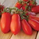 Ten Fingers Of Naples Paste Tomato Italian Seeds Grown To Organic Standards Vegetable Rare