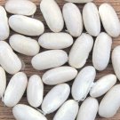 Great Northern Dry Bush Bean Hidatsa Seeds Grown To Organic Standards Soup Baked