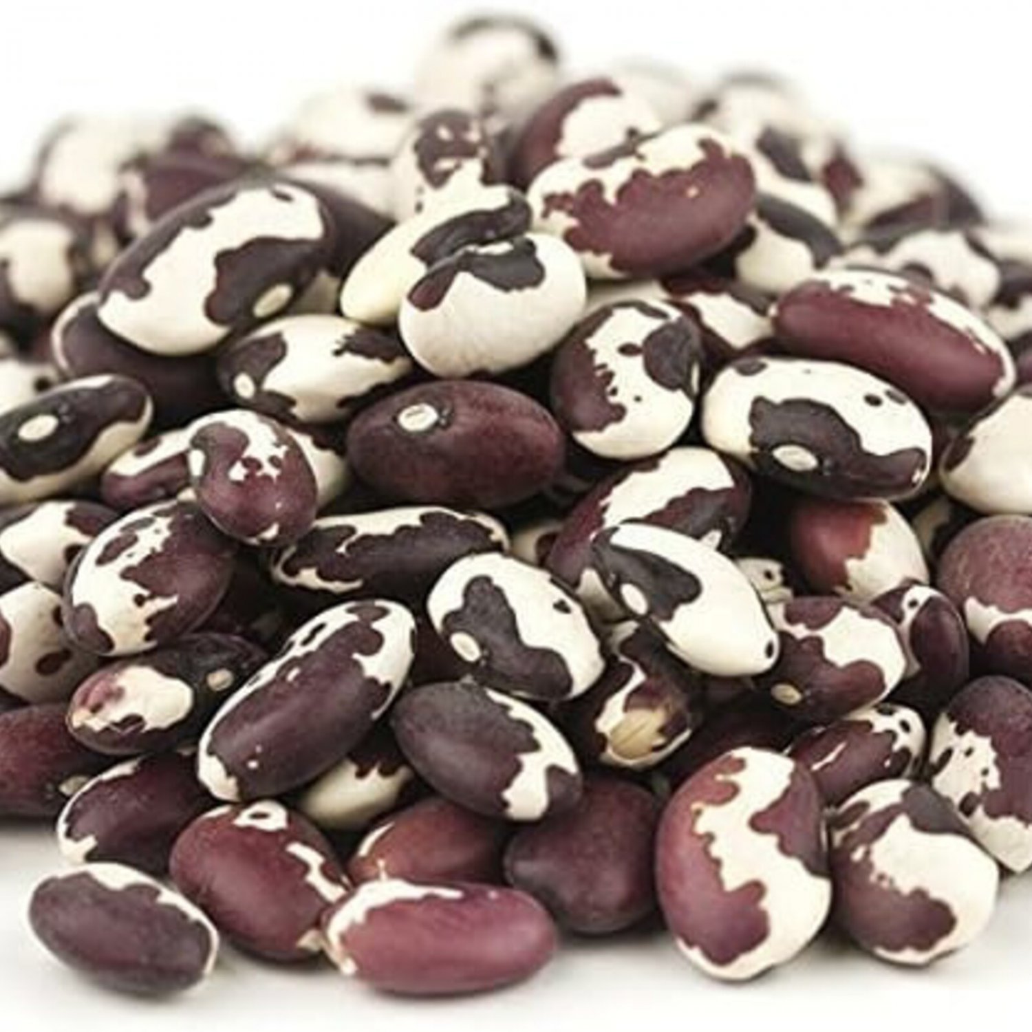 Jacobs Cattle Dry Bush Bean Seeds Vegetable Seeds Seed Packets Bean