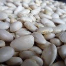Ayocote Blanco Dry Pole Runner Bean 15 Seeds