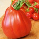 Cuor Di Bue Tomato Seeds Vegetable Seeds Seed Packets Aka Bulls Heart