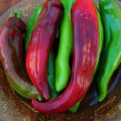 Sonora Mild Anaheim Hot Pepper Seeds Vegetable Seeds Seed Seeds