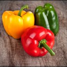 Peace Bell Sweet Pepper Oregon Sweet Pepper Seed Naturally And Organically Grown Sweet Early