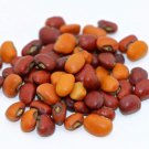 Iron And Clay Southern Cowpea 50 Seeds Civil War Era Variety Drought Hardy Southern Staple