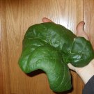 Giant Noble Spinach Seeds 100 Seeds Microgreens