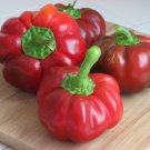 Mattics Sweet Sweet Pimento Pepper Rare Hard To Find Seeds Grown To Organic Standards Sweet Thick Ju