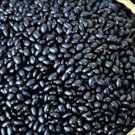 Black Coco Dry Bush Bean Seeds Grown To Organic Standards Rare Dry Soup Bean Seed