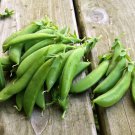 Cascadia Snap Pea Seeds Early Heavy Yields Delicious
