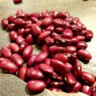 Hidatsa Red Dry Bush Bean Seeds Vegetable Seeds Seed Packets American