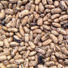 Brightstone Bush Dry Bean Seeds Vegetable Seeds Seed Packets English