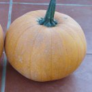 Winter Luxury Pumpkin Seeds Vegetable Seeds Seed Packets
