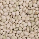 White Tepary Bush Dry Bean 60 Seeds Vegetable Seeds Seed Packets Bean