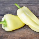 Toyozhini Sweet Pepper Rare Siberian Origin Sweet Pepper Organically Grown Very Early Ripening Cold 