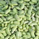 Flageolet Bush Bean Seeds Vegetable Seeds Seed Packets French