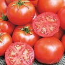John Baer Tomato Seeds Vegetable Seeds Seed Packets Early Variety