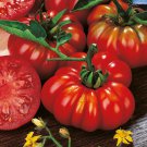 Costoluto Fiorentino Tomato Seeds Vegetable Seeds Seed Packets