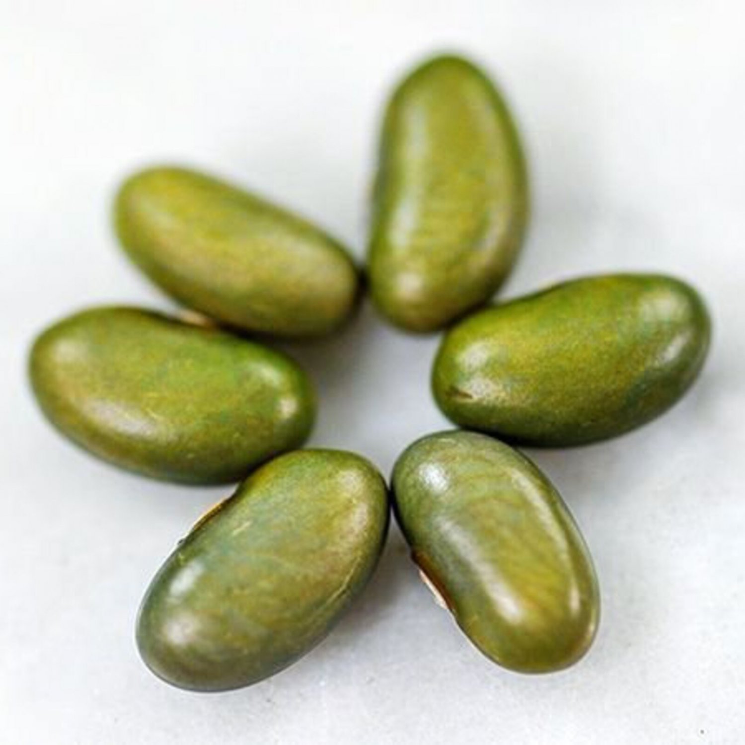 Mbombo Pole Bean 20 Seeds Vegetable Seeds Seed Packets Rare Emerald Color