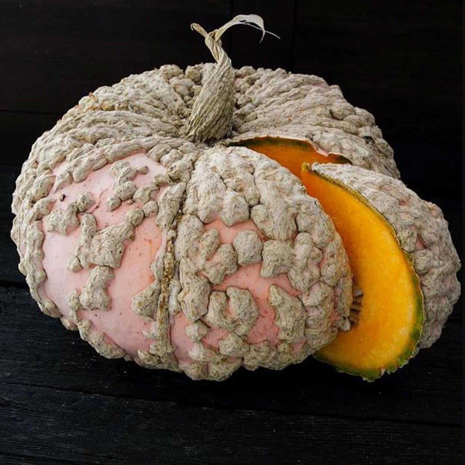 Galeux D Eysines Pumpkin Aka Peanut Squash Seeds Naturally Grown C.Maxima