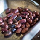 Tarahumara Purple Star Runner Bean Seed Rare And Unusual Northern Mexico Naturally Grown