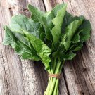 Spinach Seeds Bloomesdale Spinach Open Pollinated Vegetable Gardening