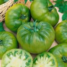 Cherokee Green Tomato Seeds Open Pollinated Vegetable Gardening