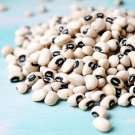 Cowpea Seeds California Blackeye Peas Seeds Open Pollinated Vegetable Gardening