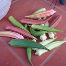 Okra Seeds Rainbow Fiesta Vegetable Gardening