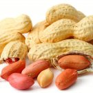 Peanut Seeds Virginia Jumbo Open Pollinated Vegetable Gardening