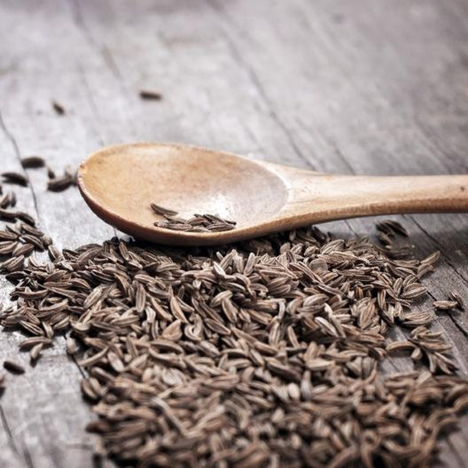 Herb Seeds Cumin Seeds Open Pollinated Vegetable Gardening