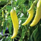 Banana Pepper Seeds Vegetable Gardening