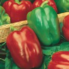 California Wonder Pepper Seeds Sweet Peppers Open Pollinated Vegetable Gardening