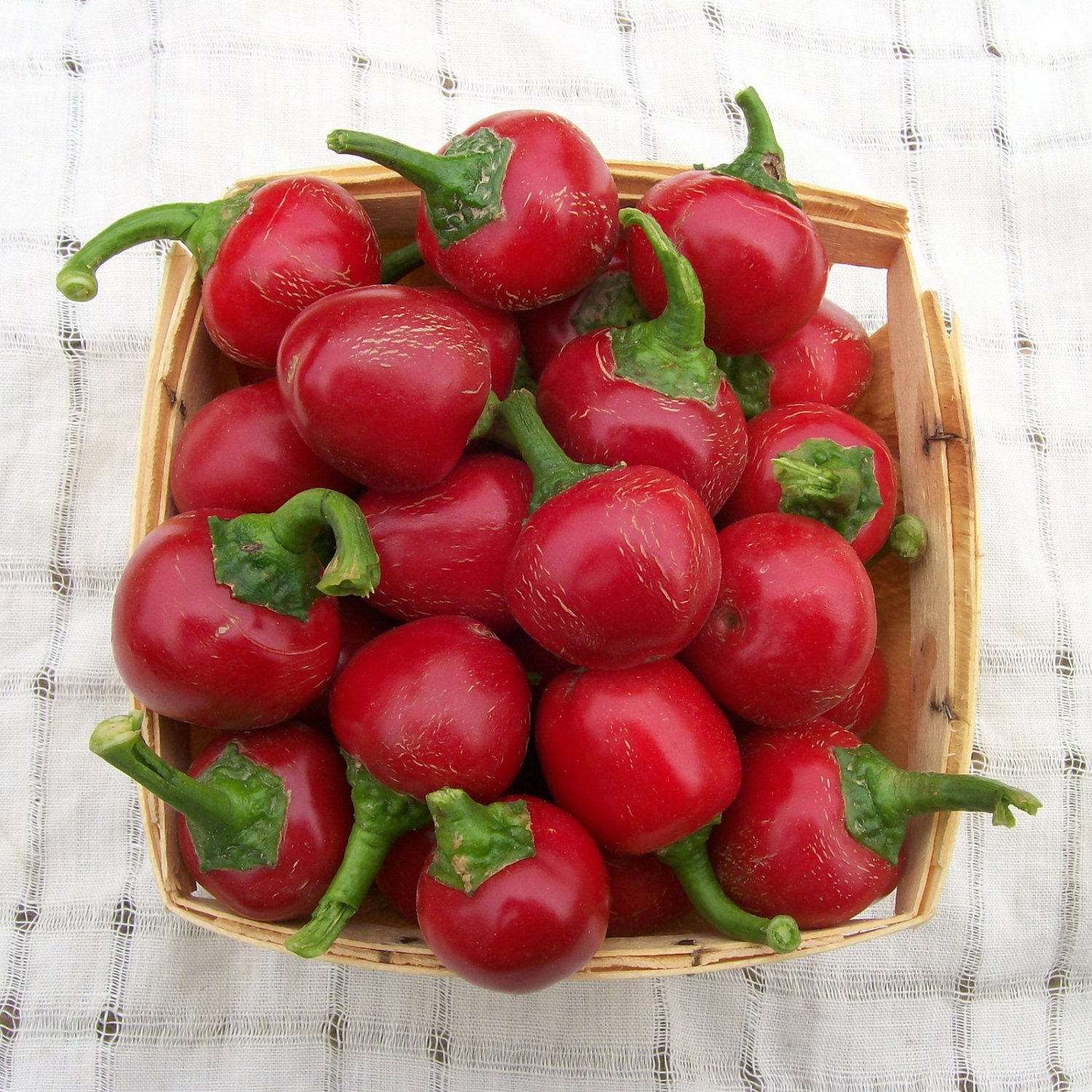 Sweet Pepper Seeds Red Cherry Sweet Peppers Open Pollinated Vegetable Gardening