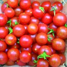Cherry Tomato Seeds Vegetable Gardening