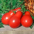 Tomato Seeds Red Pear Open Pollinated Vegetable Gardening