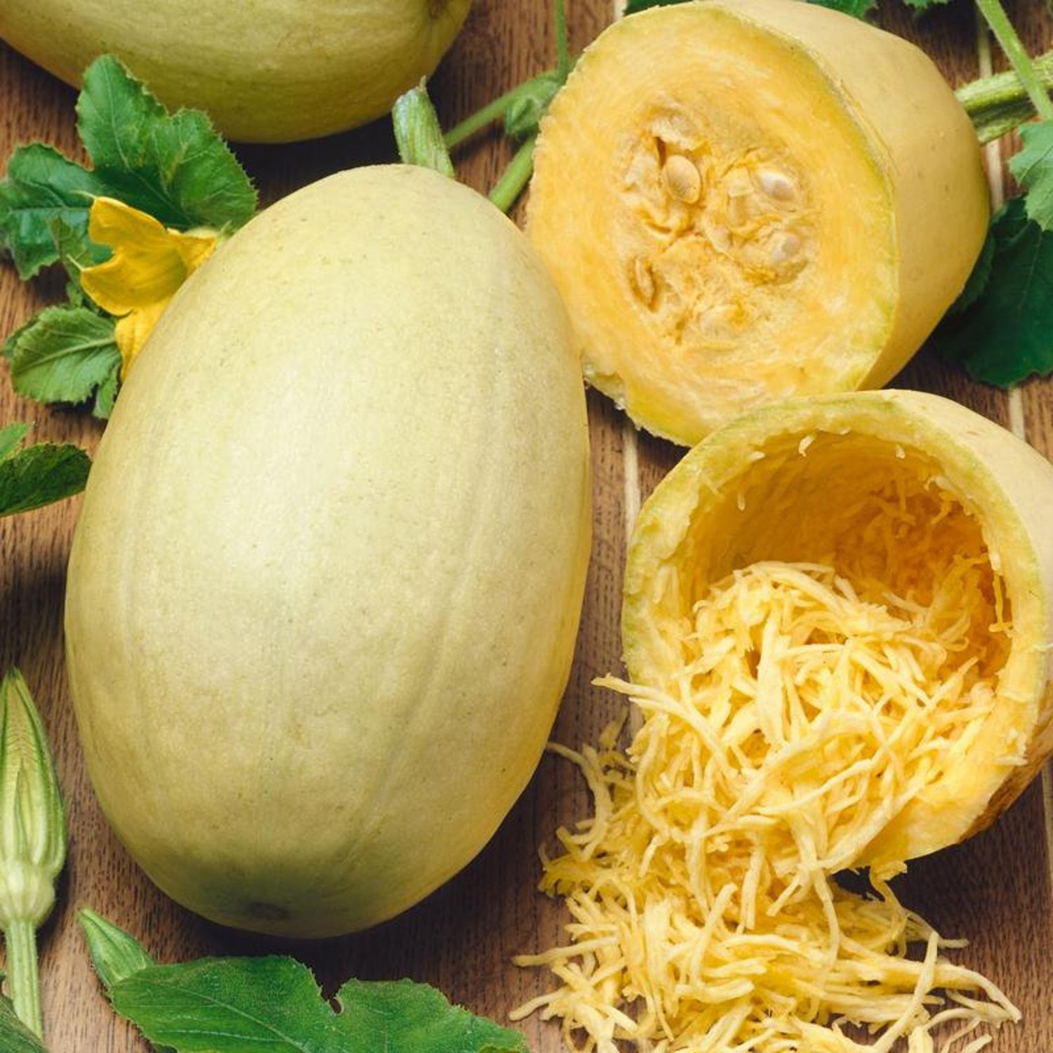 Spaghetti Squash Seeds Open Pollinated Vegetable Gardening
