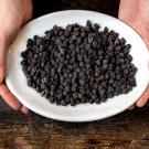 Black Garbanzo Bean Seeds Chickpea Seeds Open Pollinated Vegetable Gardening