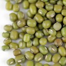 Mung Bean Seeds Chinese Sprouts Vegetable Gardening