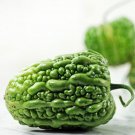 Melon Seeds Big Top Bitter Open Pollinated Vegetable Gardening