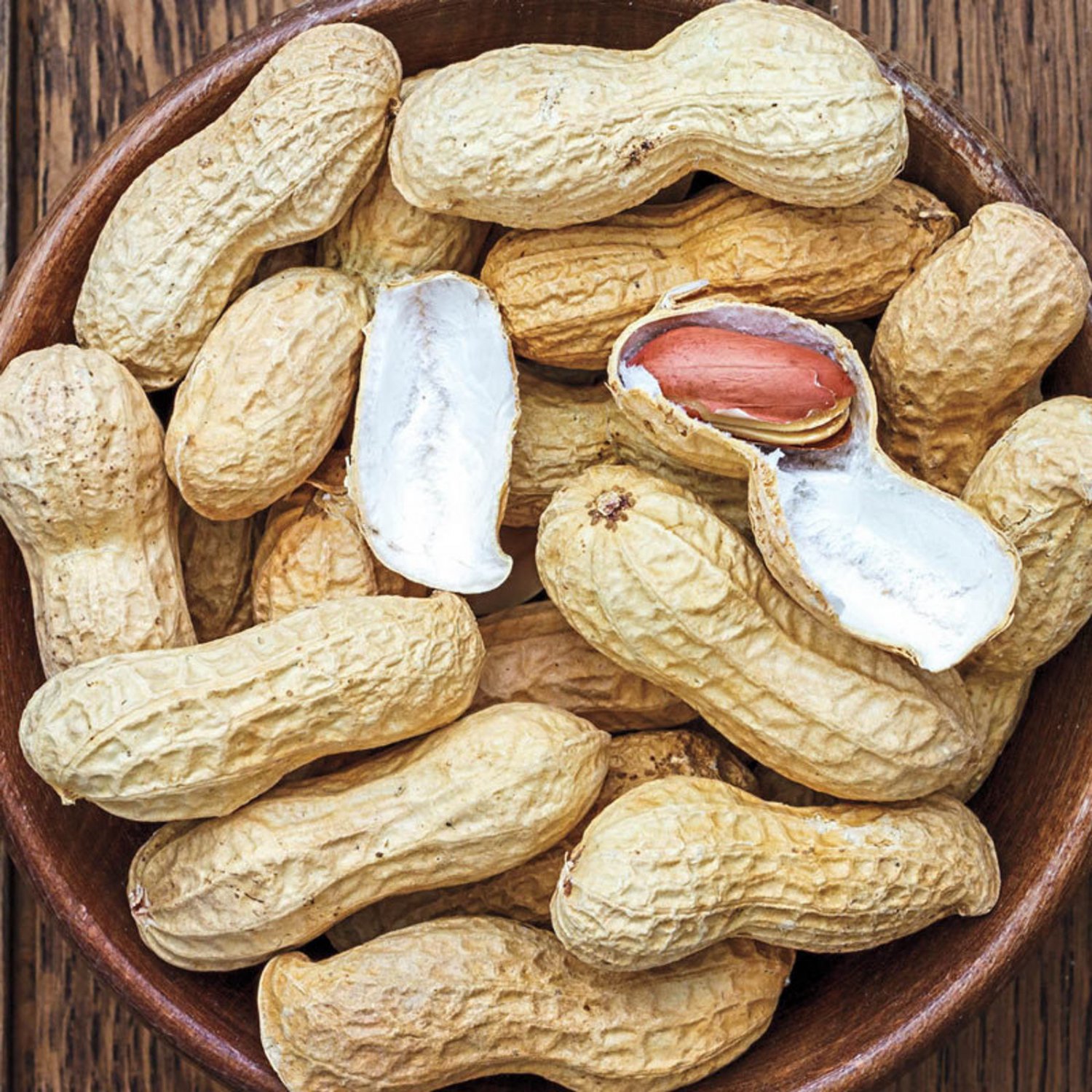 Peanut Seeds Wynne Peanut Open Pollinated Vegetable Gardening