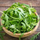 Arugula Seeds Rocket Arugula Herb Seeds Open Pollinated Vegetable Gardening