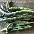 Rattlesnake Pole Bean Seeds Open Pollinated Vegetable Gardening