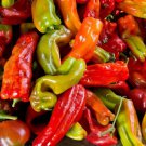 Hot Pepper Seeds Anaheim Chili Harvest Vegetable Gardening