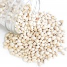 Cowpea Seeds Texas Cream Cowpea Seeds Open Pollinated Vegetable Gardening